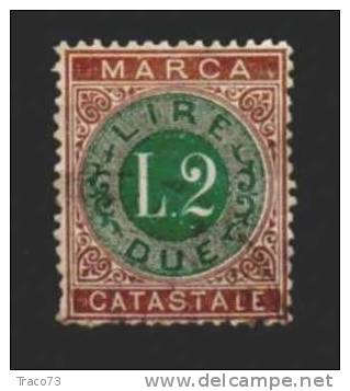 1872  -   MARCA DA BOLLO  CATASTALE -  Lire 2 - Steuermarken