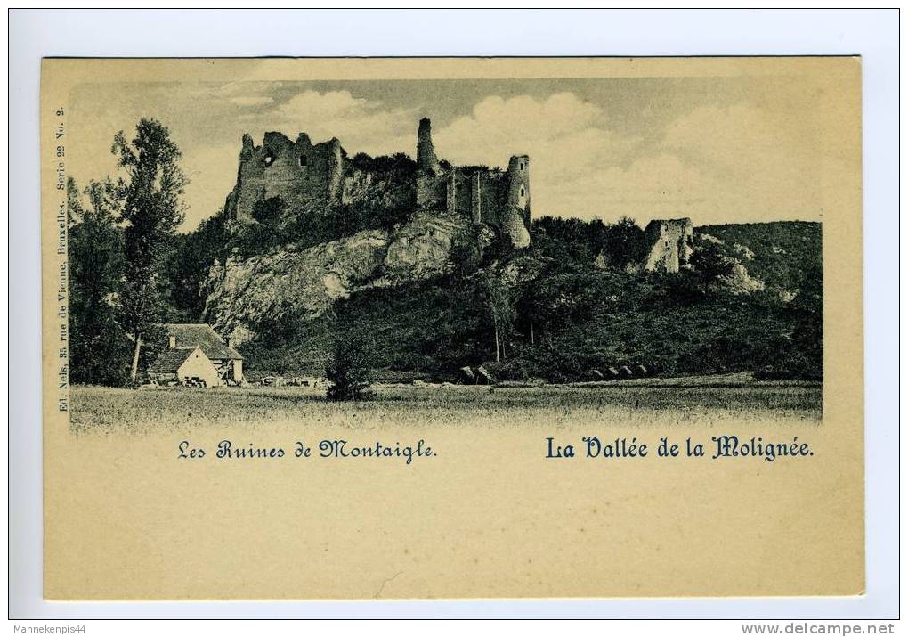 Montaigle - La Vallée De La Molignée - Les Ruines De Montaigle - Ed. Nels Serie 22 N° 2 - Onhaye