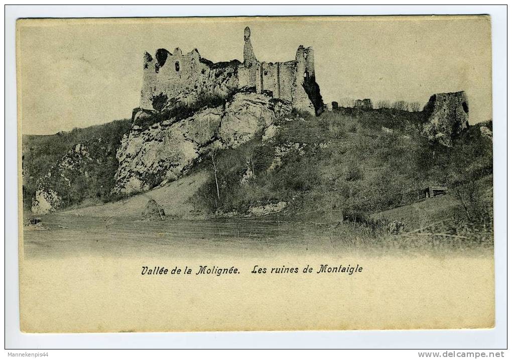 Montaigle - Les Ruines De Montaigle - Onhaye