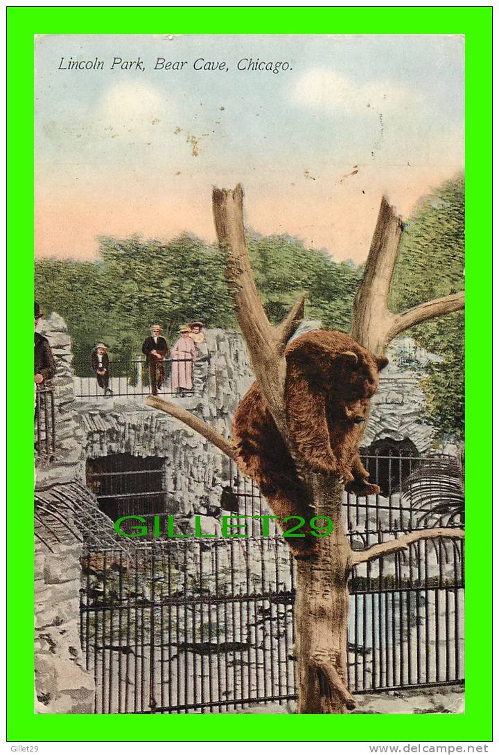 BEAR - CHICAGO , IL - LINCOLN PARK, BEAR CAVE - ANIMATED - CARD TRAVEL IN 1906 - FRANKLIN POST CARD CO - - Bears