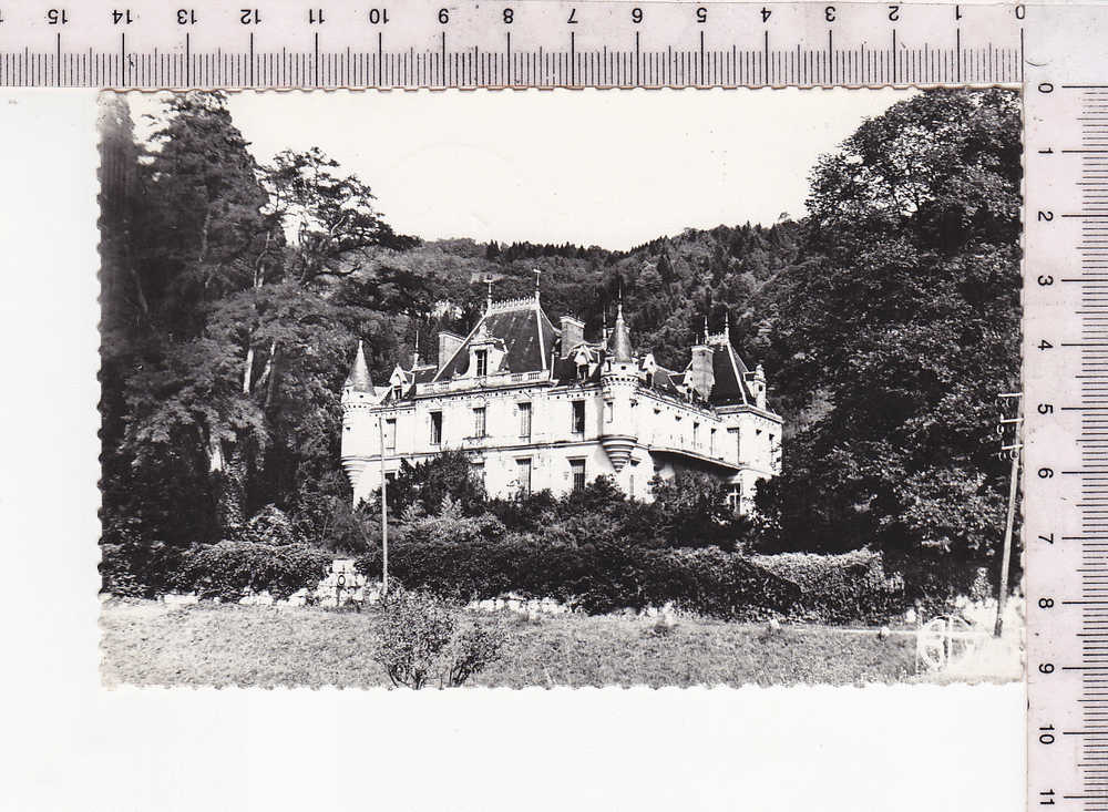 SAINT BERON - Le Château - N°  4418 - Aiguebelle