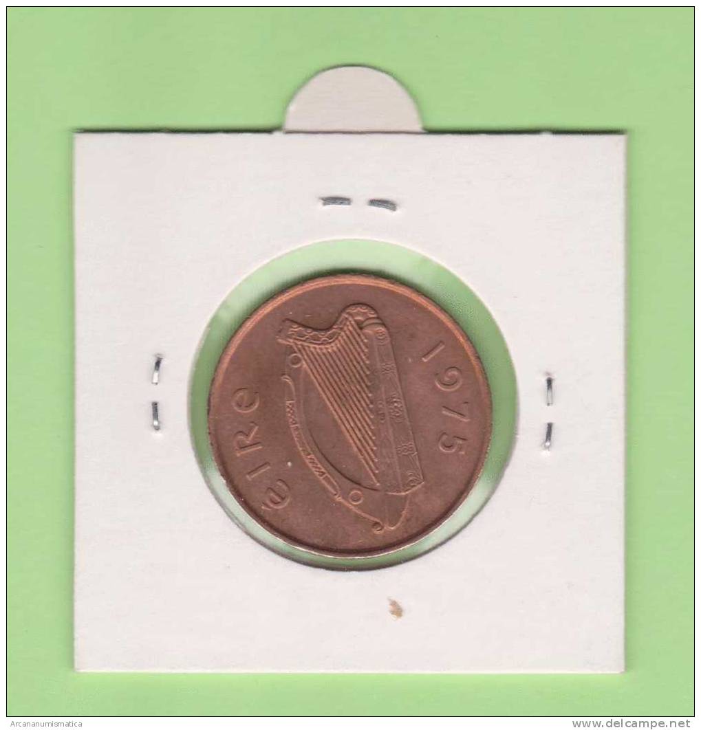 IRLANDA  2  PENCE  1.975  BRONCE  KM#21  EBC/XF     DL-8641 - Irlanda