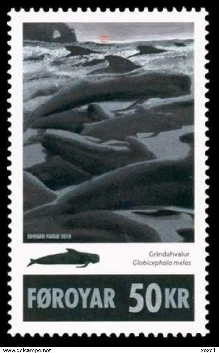 Faroe Islands 2010 MiNr. 695 Dänemark Färöer Marine Mammals Long-Finned Pilot Whales 1v MNH** 13,50 € - Baleines
