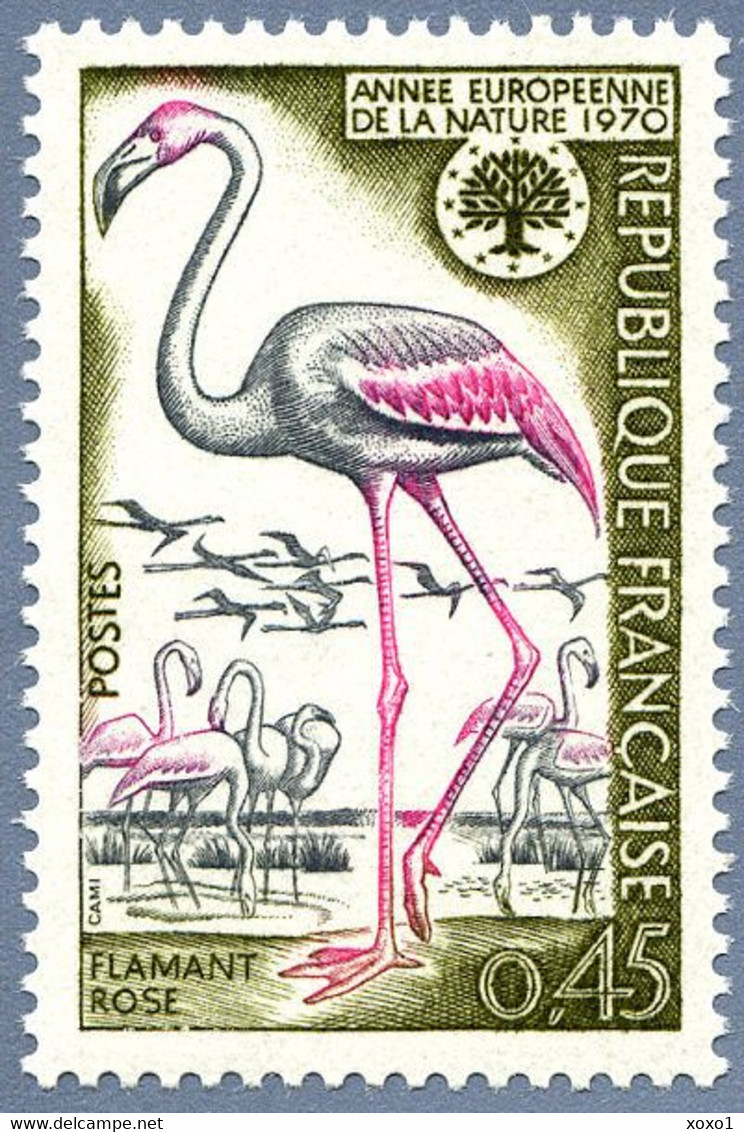 France 1970 MiNr. 1704 Frankreich Birds American Flamingo 1v 1970 MNH** 0,40 € - Fenicotteri