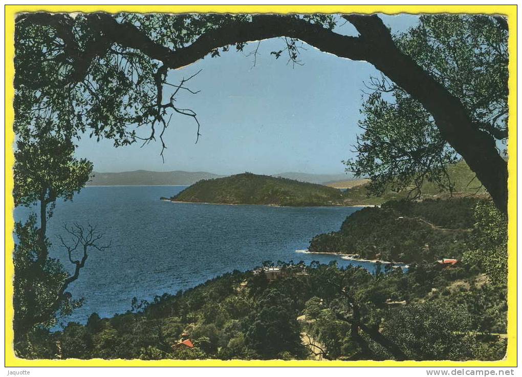 LE CANADEL - Var - N°56-10 Vue Panoramique Du Cap Nègre - Circulé 1965 - édit Sept - Rayol-Canadel-sur-Mer