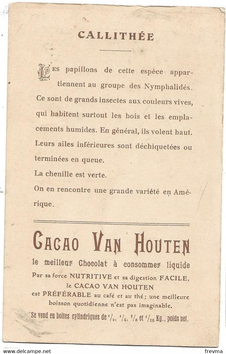 Cacao Van Houten Callithée - Van Houten