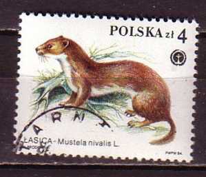 R2529 - POLOGNE POLAND Yv N°2758 - Usados