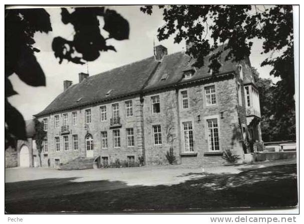 N°7377 GF-cpsm Ouffet -le Chateau De Himbe- - Ouffet