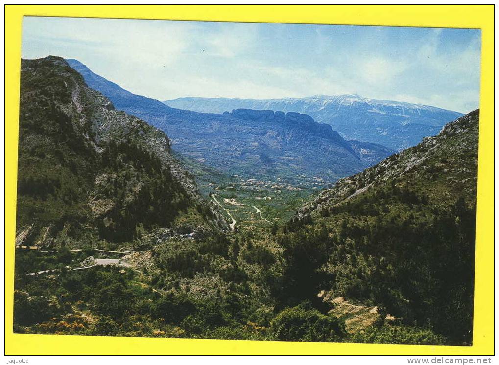 BUIS LES BARONNIES - Drôme - N° 9387 - Col D'EY Et Mont Ventoux - Circulé 1982 - Edit Gal - Buis-les-Baronnies