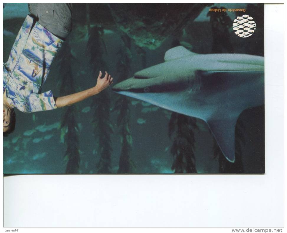 (350) Shark - Requin - Poissons Et Crustacés