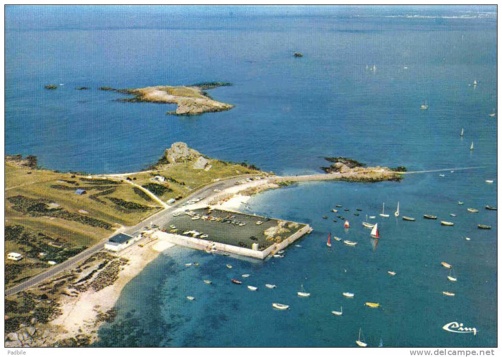 Carte Postale 29. Plouguerneau  St-Michel Vue D´avion  Trés Beau Plan - Plouguerneau