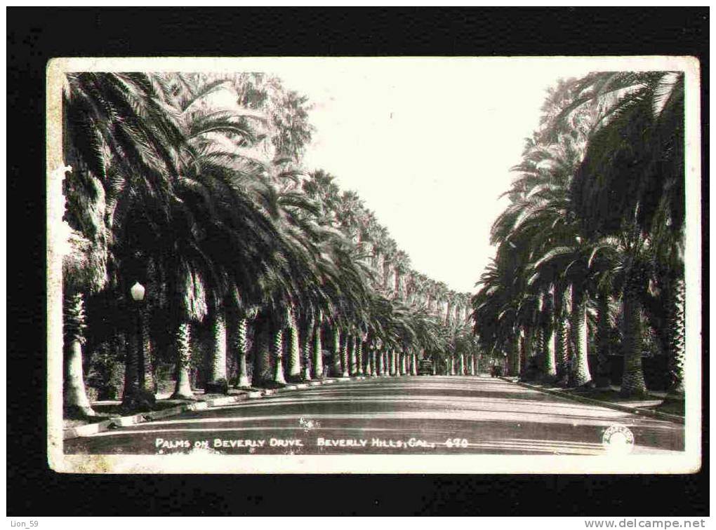 BEVERLY HILLS - PALMS ON BEVERLY DRIVE , CAL Photo Pc 27298 - Los Angeles