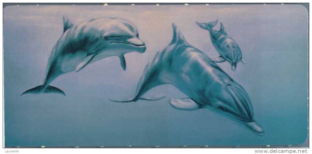 (352) Animal - Dolphin - Dauphin - Dolfijnen