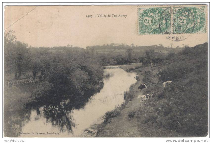 FRANCE - BRETAGNE - BRITTANY - Vallee De Tre -Auray - COWS AT STREAM - 1907 - Bretagne