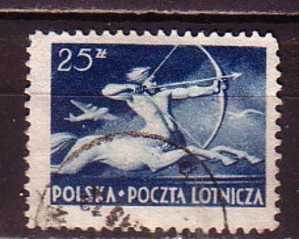 R3773 - POLOGNE POLAND AERIENNE Yv N°19 - Used Stamps