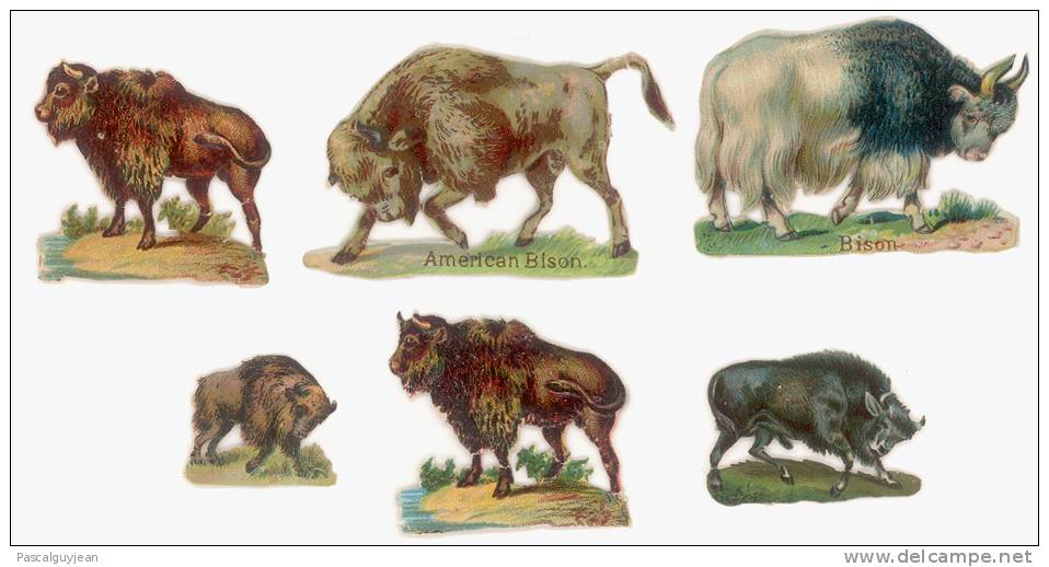 6 DECOUPIS ANCIENS BISONS - Tiere