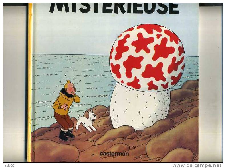 - TINTIN . L'ETOILE MYSTERIEUSE . CASTERMAN COPYRIGHT 1984 - Tintin