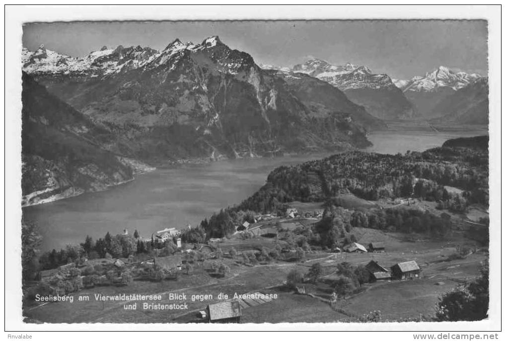 SUISSE Seelisberg Am Vierwaldstättersee Lick Gegen Die Axenstrasse Und Bristenstock - Seelisberg