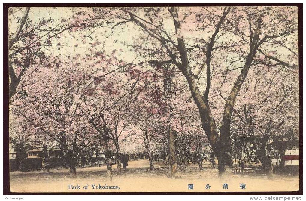 Park Of Yokohama - Yokohama