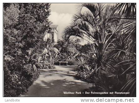 Wörlitzer Park - Der Palmengarten Mit Floratempel - Wittenberg