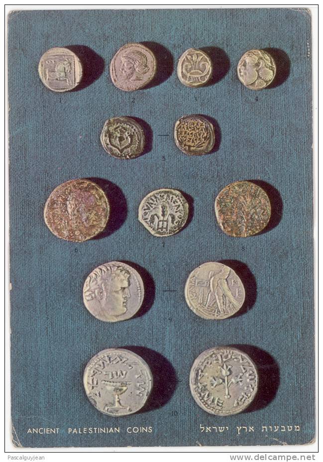 CP ANCIENT PALESTINIAN COINS - KADMAN NUMISMATIC MUSEUM - Monnaies (représentations)