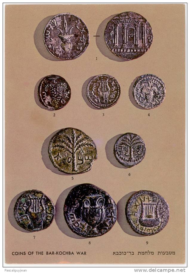 CP COINS OF THE BAR-KOCHBA WAR- KADMAN NUMISMATIC MUSEUM - Monnaies (représentations)