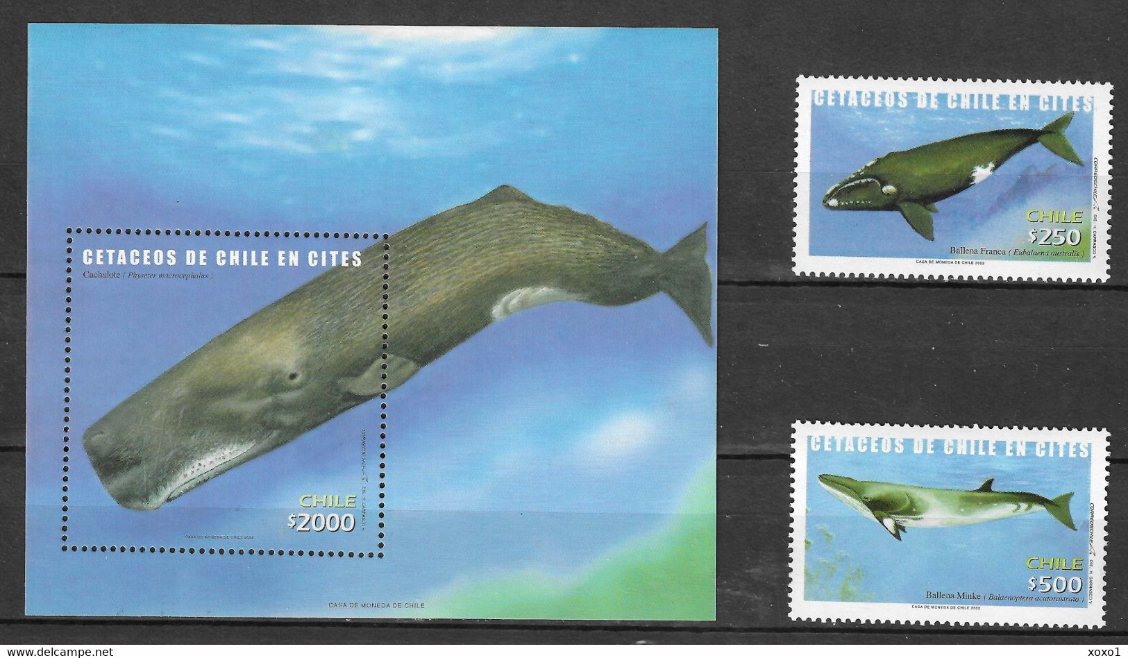 Chile 2002 MiNr. 2086 - 88 (Block 56) CITES, Marine Mammals, Whales 2v+1 MNH** 15,00 € - Baleines