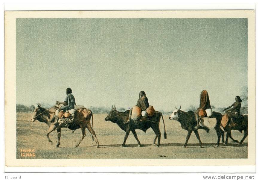 Carte Postale Ancienne Tchad - Les Boeufs Porteurs - Cie Navigation Fabre & Fraissinet - Tchad