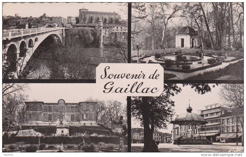 CPSM Souvenir De GAILLAC Multivues - Gaillac