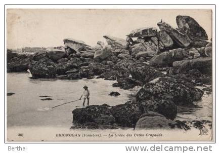 29 BRIGNOGAN - Greve Des Petits Crapauds - Brignogan-Plage