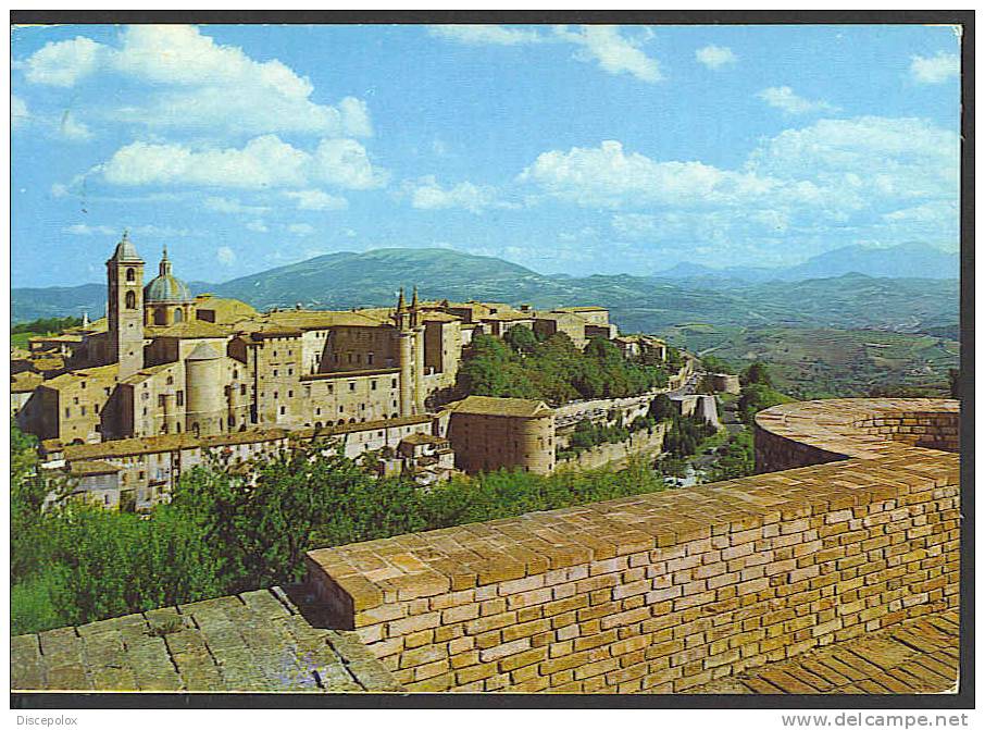 B728 Urbino - Panorama / Viaggiata 1977 - Urbino