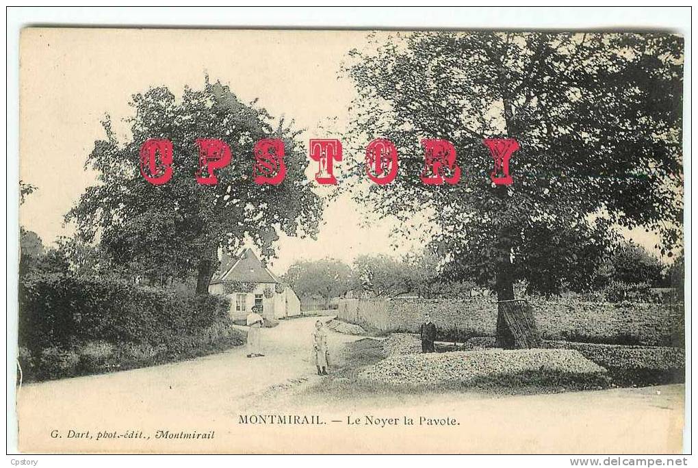 51 - MONTMIRAIL - Le Noyer La Pavote - Dos Scané - Montmirail