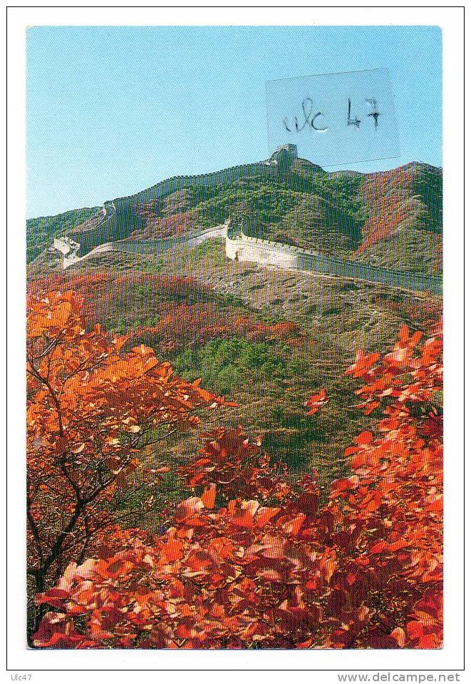 - People's Republic Of China. - Red Leaves At The Great Wall. - Scan Verso - - China