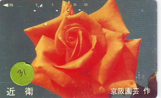 TELECARTE JAPON FLEUR ROSE (31)  PHONECARD JAPAN FLOWER * BLUME * BLOEM * ROOS - Fleurs