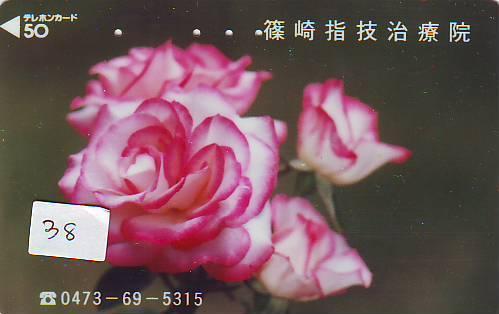 TELECARTE JAPON FLEUR ROSE (38)  PHONECARD JAPAN FLOWER * BLUME * BLOEM * ROOS - Bloemen