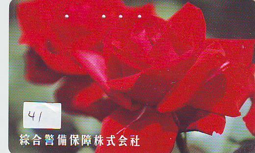 TELECARTE JAPON FLEUR ROSE (41)  PHONECARD JAPAN FLOWER * BLUME * BLOEM * ROOS - Blumen