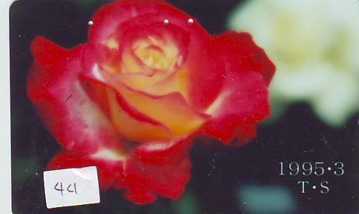 TELECARTE JAPON FLEUR ROSE (44)  PHONECARD JAPAN FLOWER * BLUME * BLOEM * ROOS - Flores