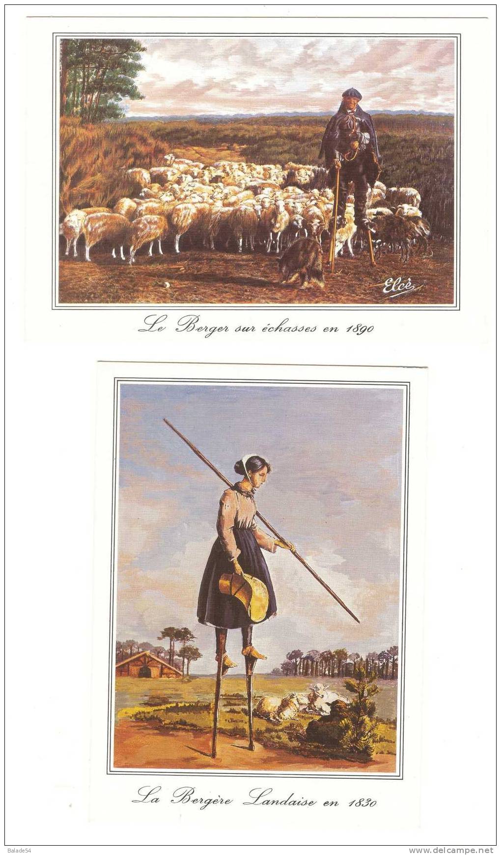 2 CPM - Vieille Gravure De 1830 Et 1890 - Le Berger Sur échasses Gardant Les Moutons - La Bergère Landaise Sur échasse - Autres & Non Classés