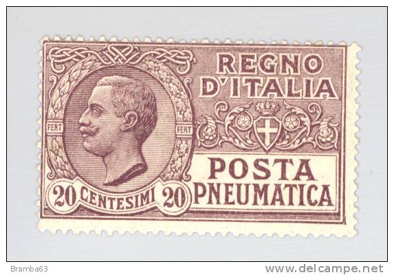 1925 Posta Pneumatica Regno Vittorio Emanuele III - C. 20 Viola NUOVO (rif.Max) - Poste Pneumatique