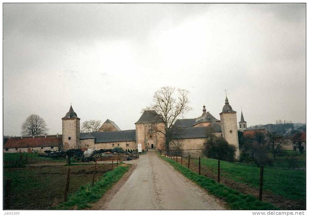 FALAEN ..-- ONHAYE ..-- Le Château .  ATTENTION , " PHOTO " . - Lugares