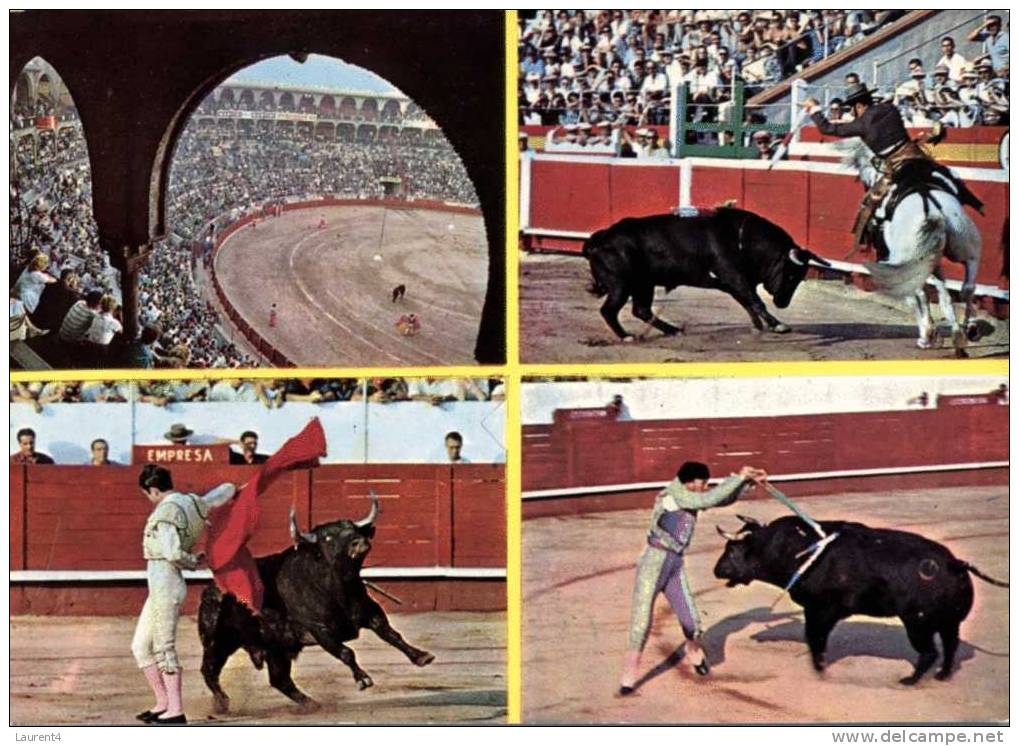 (560) Corrida - Taureaux - Bull Fighthing - Taureaux