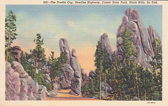 The Traffic Cop, Needles Highway, Custer State Park, Black Hills, South Dakota - Other & Unclassified