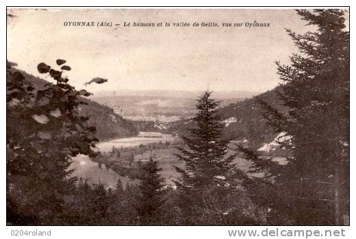 Oyonnax - Le Hameau Et La Vallée De Geille : Achat Immédiat - Oyonnax