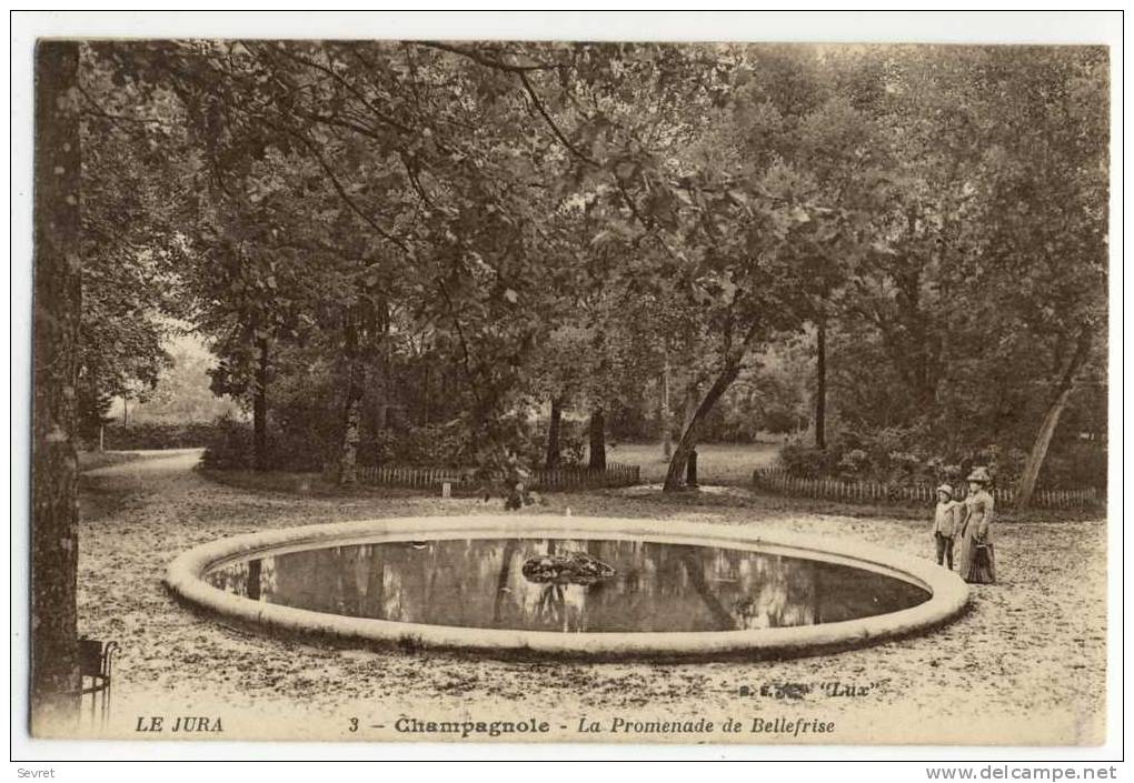 CHAMPAGNOLE- La Promenade De Bellefrise. - Champagnole