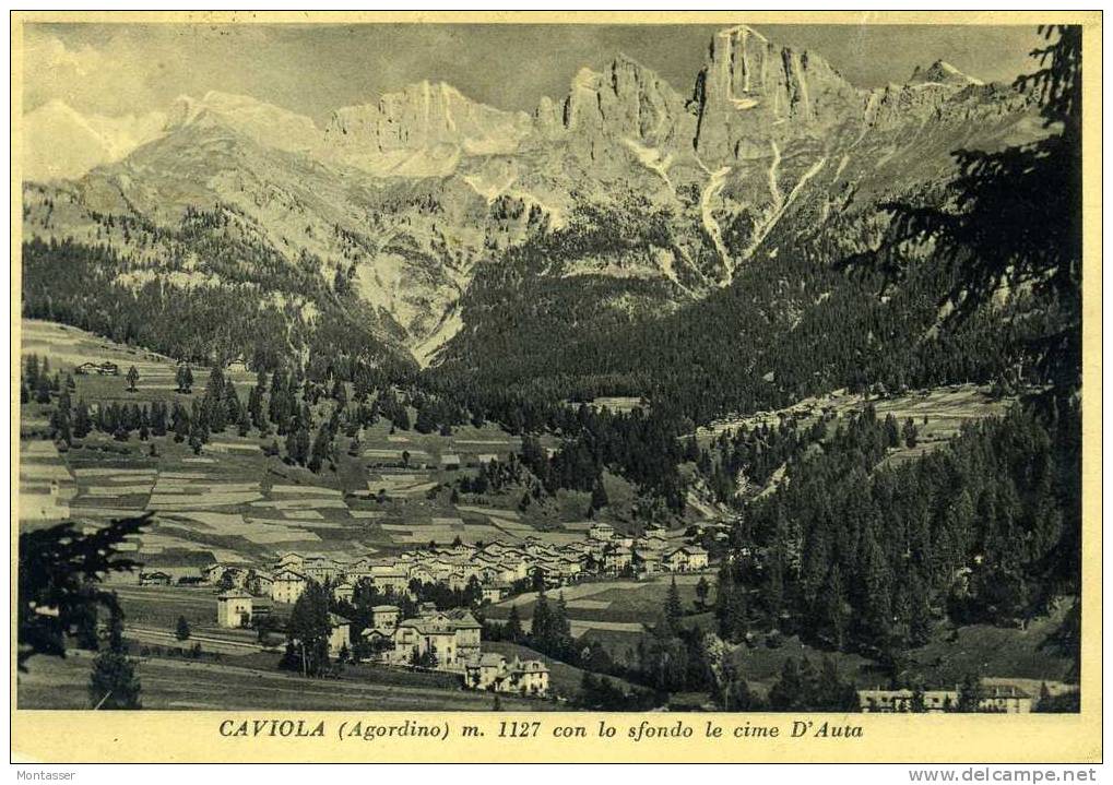 CAVIOLA (Belluno). Panorama. Agordino. Dolomiti. Vg. C/fr. Per OVARO (UD) 1956. - Belluno