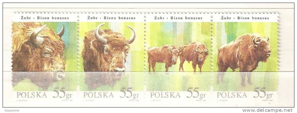 POLOGNE  Faune Le Bison  3415 3418** - Mucche