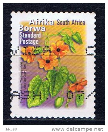 RSA+ Südafrika 2000 Mi 1316A Blüten - Used Stamps