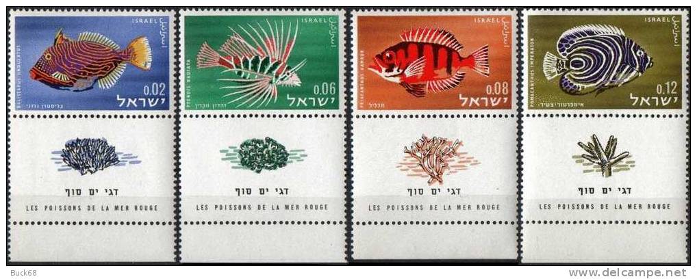 ISRAEL Poste 242 à 245 ** MNH + TAB Poissons De La Mer Rouge (2) - Nuovi (con Tab)