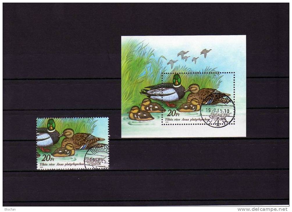 WWF Naturschutz 1989 Wildenten Ungarn 3977+Block 199 O 12€ Stockente Blocchi Nature Bloc Duck M/s Bird Sheet Bf Hungaria - Lots & Kiloware (mixtures) - Max. 999 Stamps