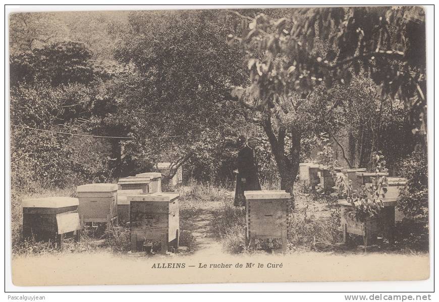 CPA ALLEINS - LE RUCHER DE MONSIEUR LE CURE - ABEILLES - RUCHES - Alleins